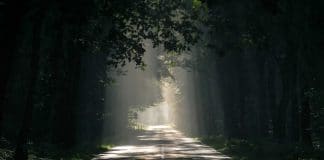 26 ans plus tard, cette Norvégienne retrouve grâce à Facebook son père marocain