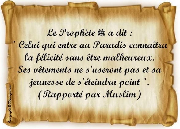 Hadith du jour : La description du Paradis et de ses habitants | alNas.fr