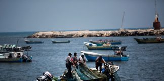 En 2019, les snipers israéliens ont tiré à 347 reprises sur les pêcheurs palestiniens