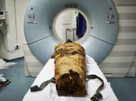 UK - Des scientifiques font parler une momie 3000 ans après sa mort
