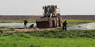 Gaza - Des soldats israéliens profanent le corps d'un Palestinien mort avec un bulldozer - VIDEO