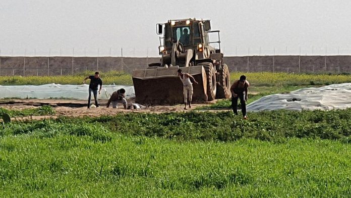 Gaza - Des soldats israéliens profanent le corps d'un Palestinien mort avec un bulldozer - VIDEO