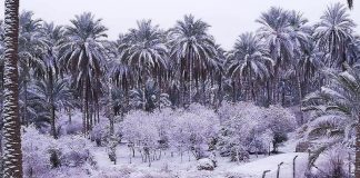 Irak - Bagdad recouverte de neige pour la deuxième fois ce siècle