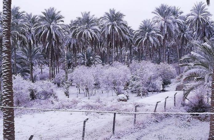 Irak - Bagdad recouverte de neige pour la deuxième fois ce siècle