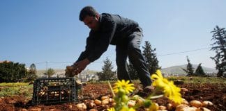 Israel intensifie la guerre commerciale avec les Palestiniens