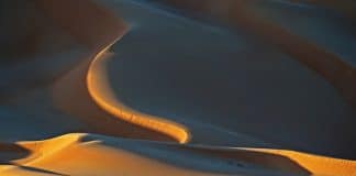 Une étude montre que les dunes de sable «communiquent» entre elles