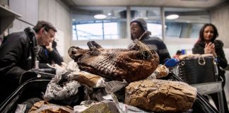 Comment du singe et du crocodile se retrouve au menu de plusieurs commerces parisiens