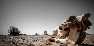 Comment les communautés luttent-elles contre le coronavirus quand elles n'ont pas d'eau ?