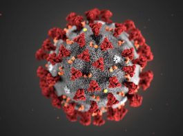 Coronavirus - Un chercheur déclare que la pandémie pourrait sauver des vies