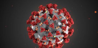 Coronavirus - Un chercheur déclare que la pandémie pourrait sauver des vies
