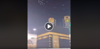 La Mecque vide laisse place à des oiseaux qui volent autour de la Kaaba comme les pèlerins - VIDEO