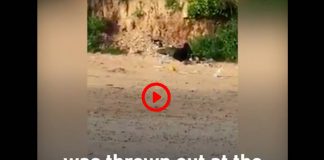 «Ils l'ont jeté comme une poubelle»un Palestinien suspecté de coronavirus a été expulsé d'IsraëlVIDEO