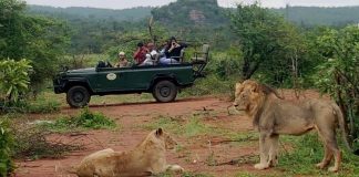 Afrique du Sud - un touriste français est accusé de tentative de meurtre pour avoir propagé le Coronavirus dans le pays