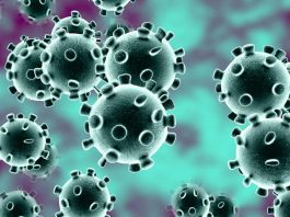 Coronavirus : Ce point faible du virus que les chercheurs viennent de découvrir