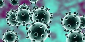 Coronavirus : Ce point faible du virus que les chercheurs viennent de découvrir