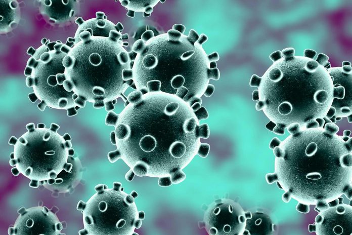 Coronavirus : Ce point faible du virus que les chercheurs viennent de découvrir