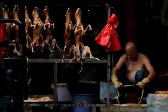 Coronavirus - Une ville chinoise interdit désormais la consommation de chiens et de chats