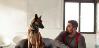 Coronavirus - la chienne de Sidi Drici détecte le Covid-19 en « 25 minutes maximum »