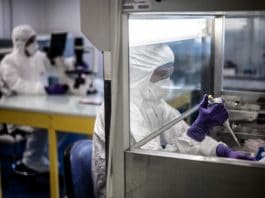 Coronavirus : un laboratoire chinois élabore un vaccin efficace sur le singe