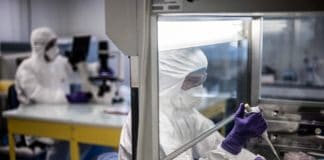 Coronavirus : un laboratoire chinois élabore un vaccin efficace sur le singe
