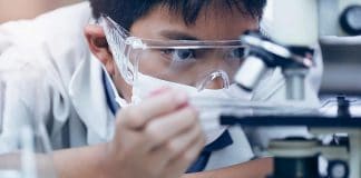 Singapour - une étude scientifique annonce la fin de la pandémie en décembre