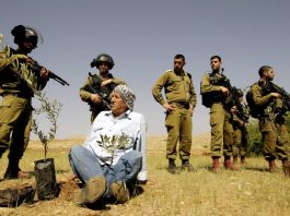 Jérusalem - des soldats israéliens tirent à bout portant sur des Palestiniens qui cultivaient leur terre