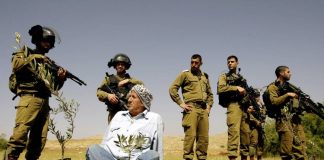 Jérusalem - des soldats israéliens tirent à bout portant sur des Palestiniens qui cultivaient leur terre