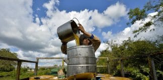 Pourquoi le miel de Cuba est le meilleur du monde - VIDEO (1)