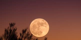 Juin 2020 - Quels sont les jours blancs de Chawwal 1441 ?