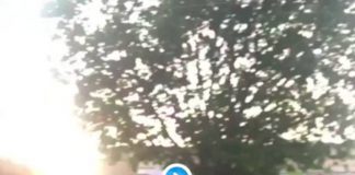 « Vendu ! » un policier noir se fait prendre à partie par la foule rassemblée contre les violences policières à Paris - VIDEO