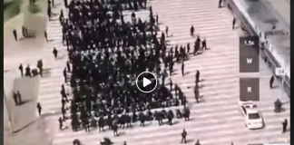 Chine images terribles de Ouïghours attachés les yeux bandés et conduits de force dans des trains