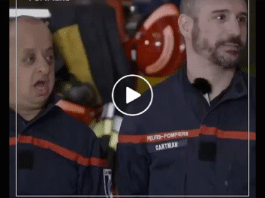 Sur TF1, fou rire autour de Booder lors d'une séquence des "Touristes, mission pompiers" - VIDEO