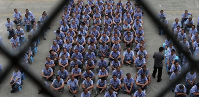 Zara, Adidas... Un institut australien liste les grandes marques exploitant les Ouïghours