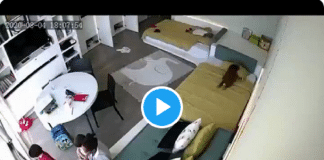 Beyrouth : Une famille entière survit miraculeusement à l'explosion