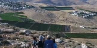 Cisjordanie - la Haute Cour d'Israël ordonne la destruction de maisons de colons israéliens
