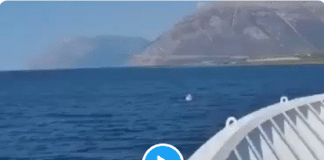 Grèce : Sauvetage spectaculaire d'une fillette seule en pleine mer sur une bouée - VIDÉO