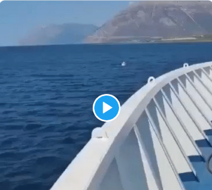 Grèce : Sauvetage spectaculaire d'une fillette seule en pleine mer sur une bouée - VIDÉO