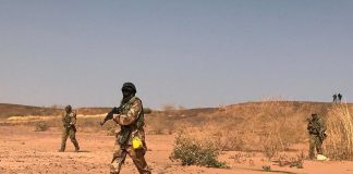 Niger - six touristes français tués par des hommes armés alors qu’ils visitaient une réserve animale