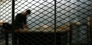 Algérie - un lycéen condamné à un an de prison ferme pour fraude au brevet national