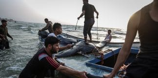Des pêcheurs de Gaza capturent 73 thons géants en Méditerranée