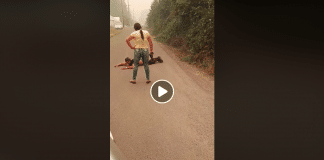 Incendies de forêt dans l'Oregon une femme attrape un pyromane présumé sous la menace d'une arme - VIDEO