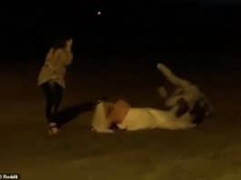 Une mariée en robe blanche se bat avec des inconnus qui tente de gâcher sa fête - VIDEO