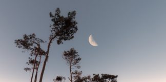 Novembre 2020 - Quels sont les jours blancs de Rabi’ al-Awwal 1442 ?