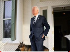 « Les chiens sont de retour à la Maison-Blanche » - le titre choc d’une chaîne saoudienne