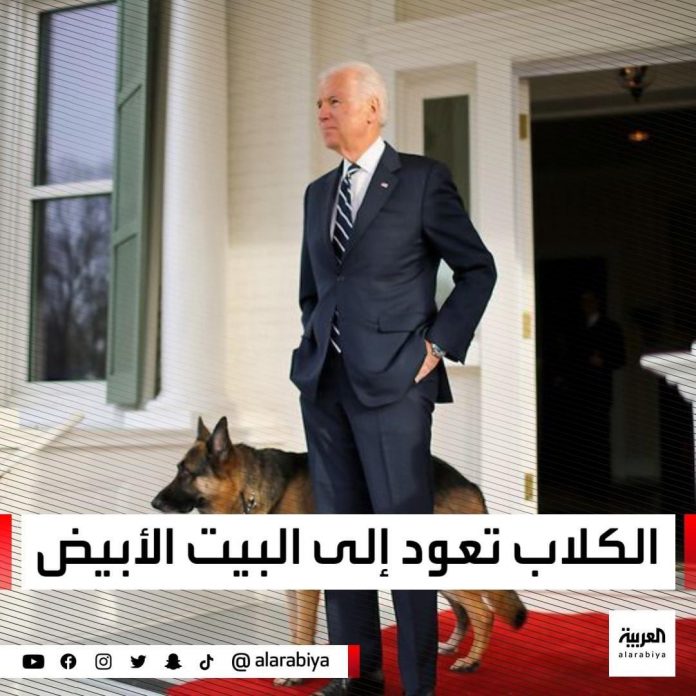 « Les chiens sont de retour à la Maison-Blanche » - le titre choc d’une chaîne saoudienne