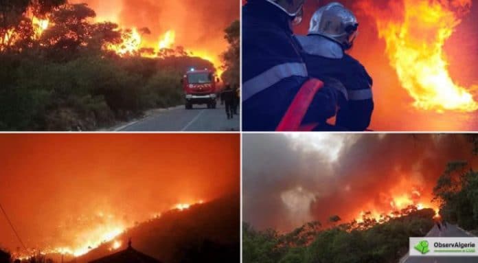 D’immenses incendies ravagent l’Algérie, deux morts et des centaines d’hectares détruits - VIDEO