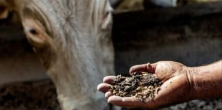 La France exporte de la viande de mauvaise qualité vers les pays arabes