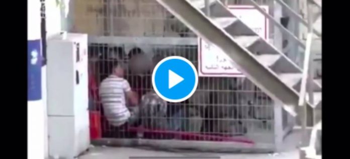 Les images terrifiantes d’enfants palestiniens mis en cage par des soldats israéliens