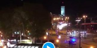 Vienne deux combattants turcs de MMA ont sauvé une femme et un policier lors de la fusillade meurtrière - VIDEO (1)