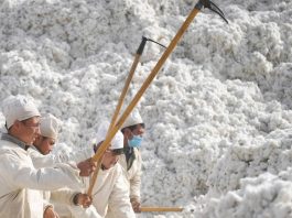 Chine - plus de 570 000 Ouïghours forcés à cueillir du coton selon un rapport